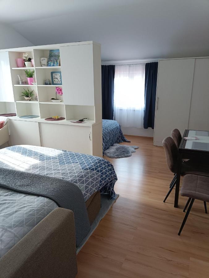 Apartment Dorina Buje Bagian luar foto