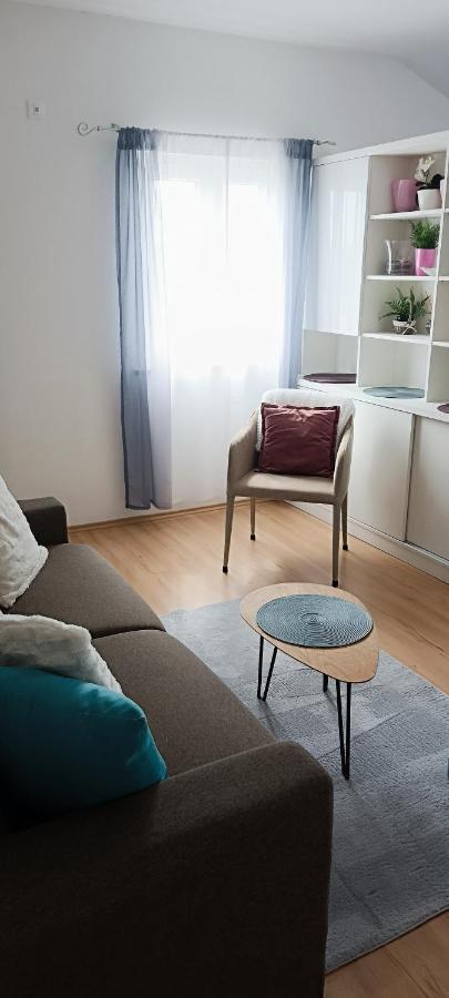 Apartment Dorina Buje Bagian luar foto