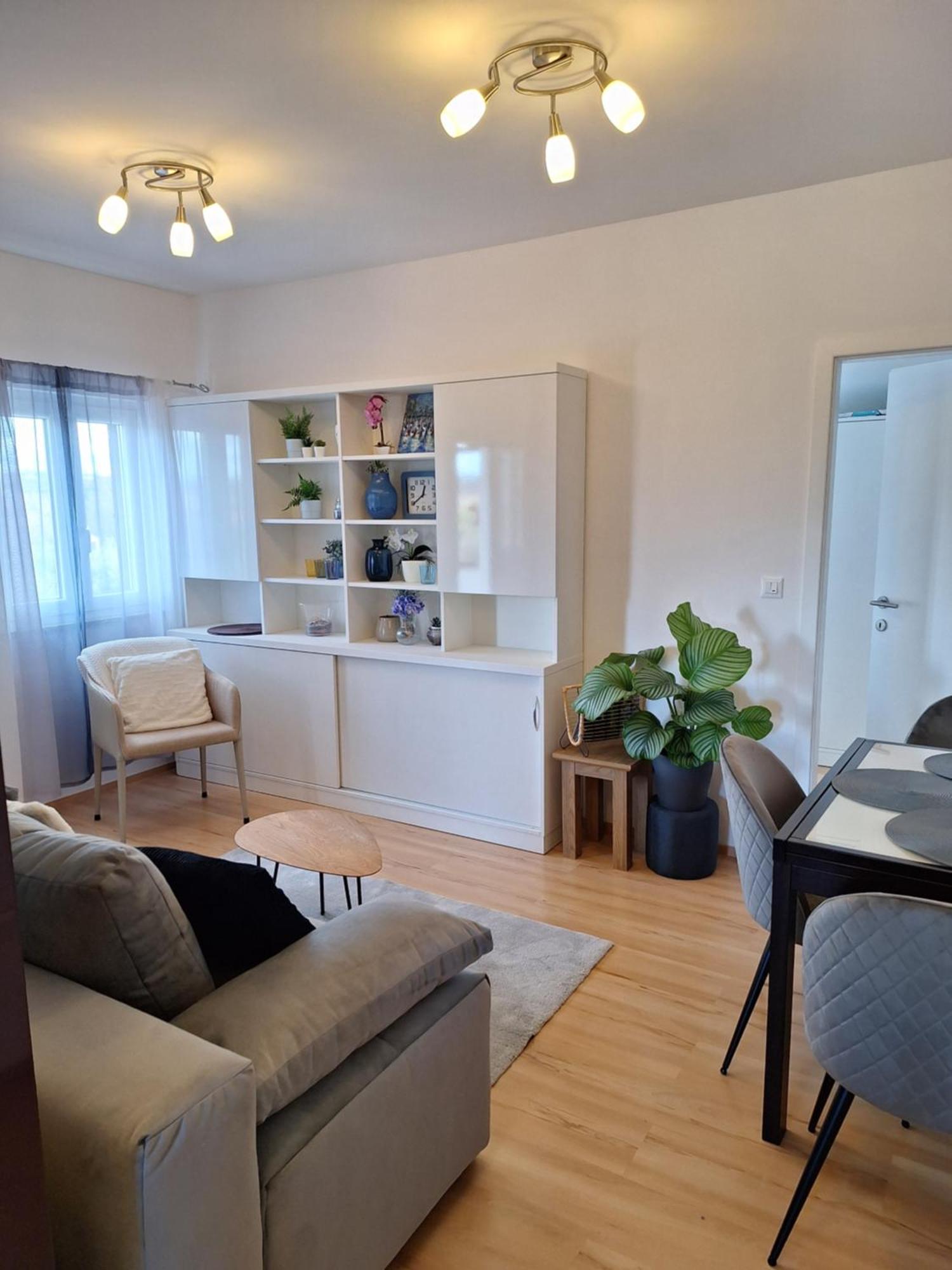 Apartment Dorina Buje Bagian luar foto