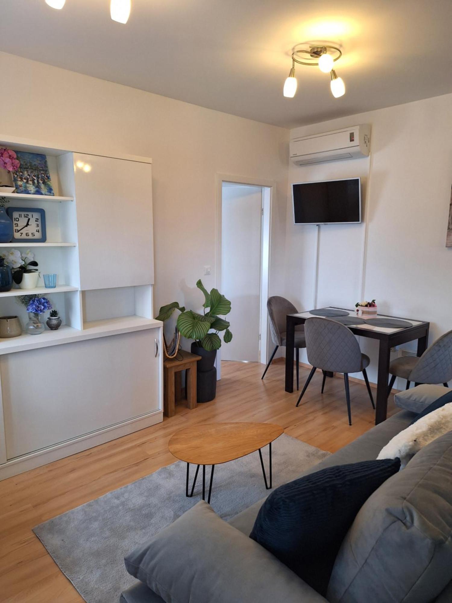 Apartment Dorina Buje Bagian luar foto