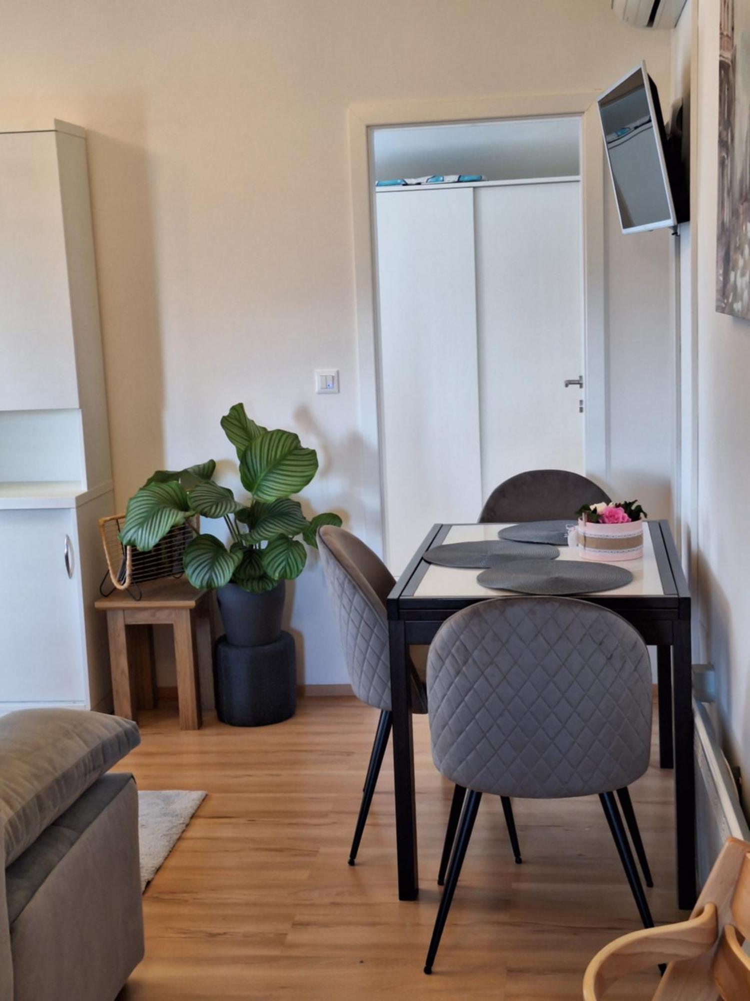Apartment Dorina Buje Bagian luar foto
