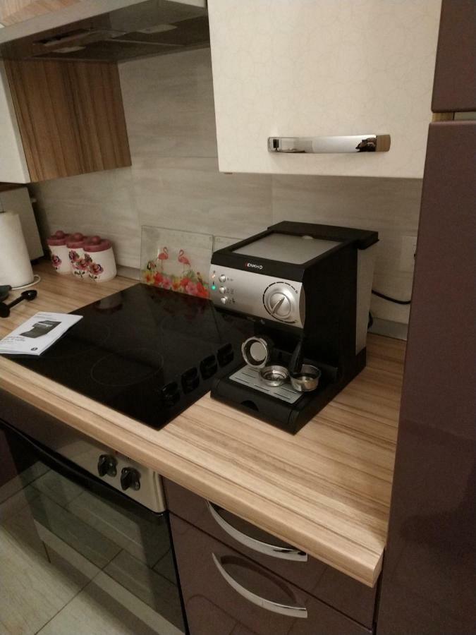Apartment Dorina Buje Bagian luar foto