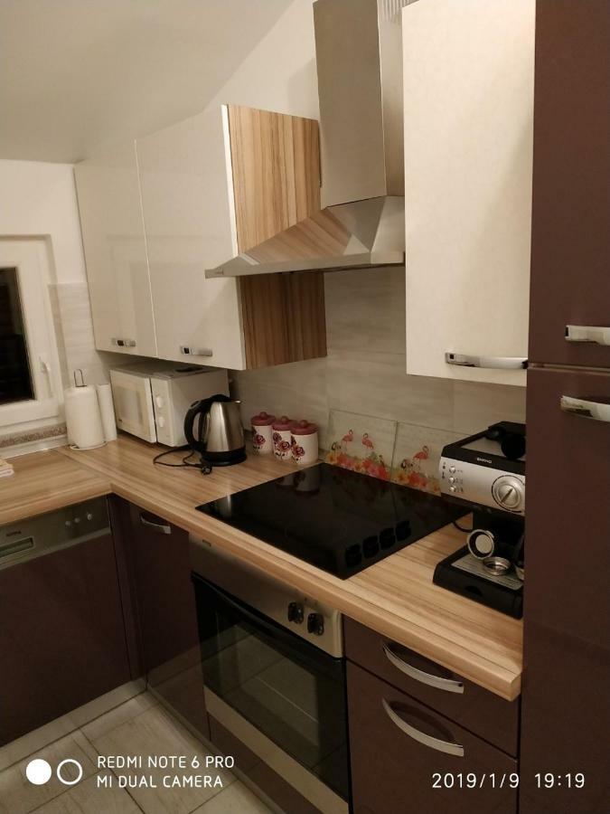 Apartment Dorina Buje Bagian luar foto