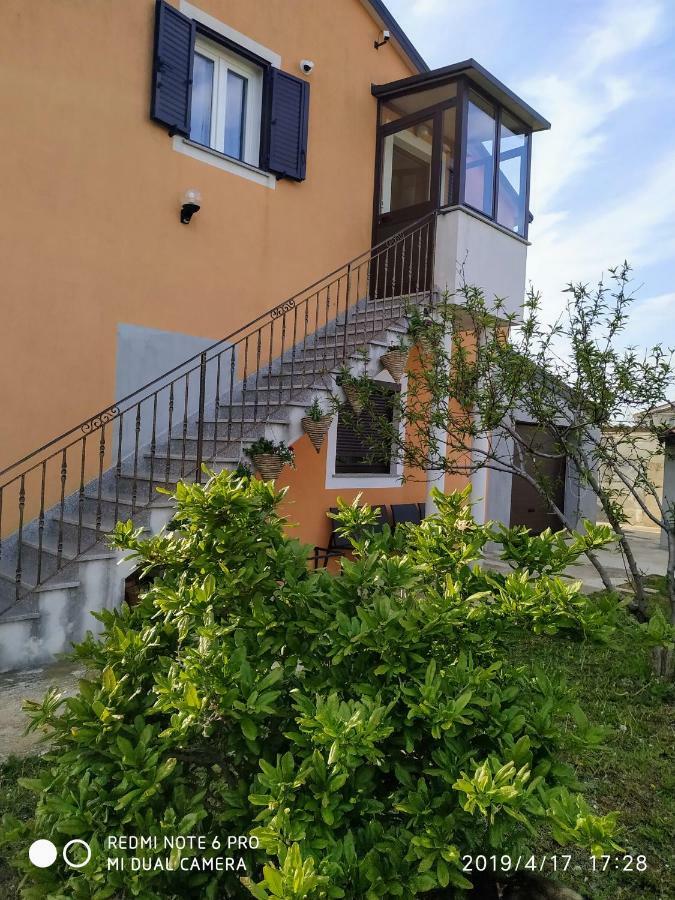 Apartment Dorina Buje Bagian luar foto
