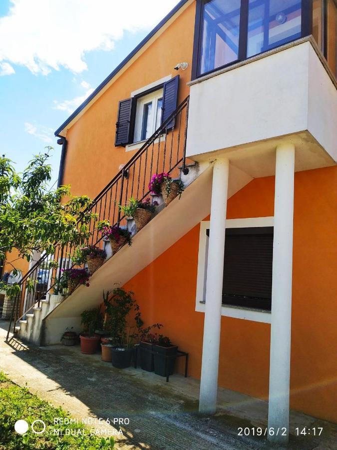 Apartment Dorina Buje Bagian luar foto